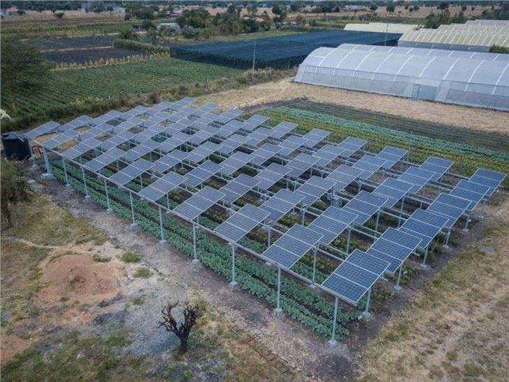 Agri Voltaic Farming System