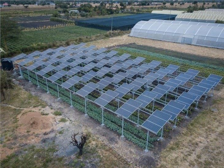 Farming-Integrated Solar Structures suppliers