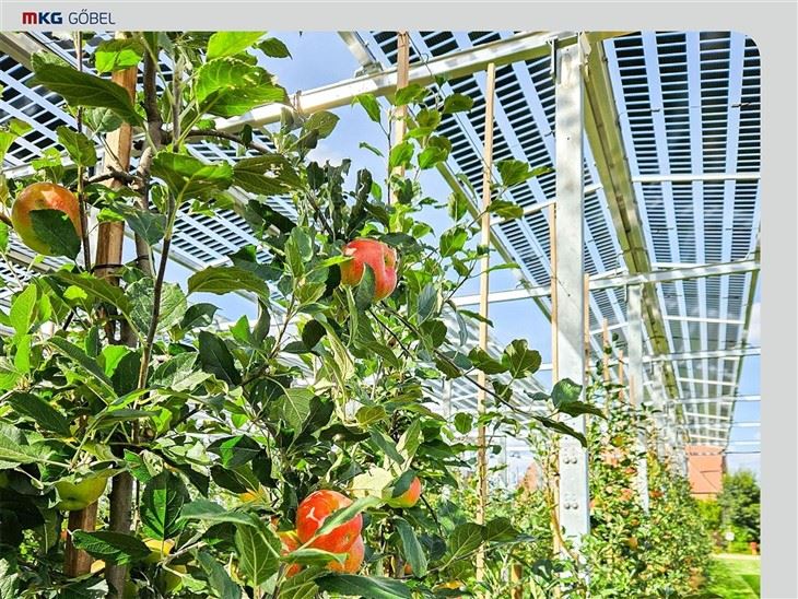 Optimized Solar Mounting Structures For Crops & Livestock manufacturers