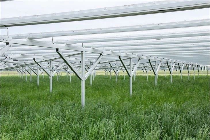 Optimized Solar Mounting Structures For Crops & Livestock best